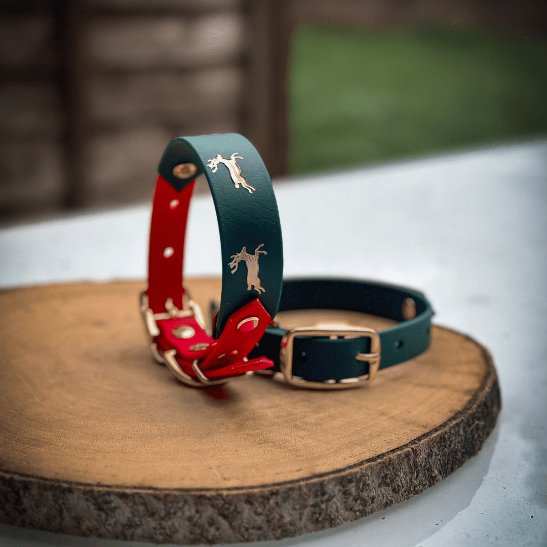 Festive red and green dog collar with gold reindeer