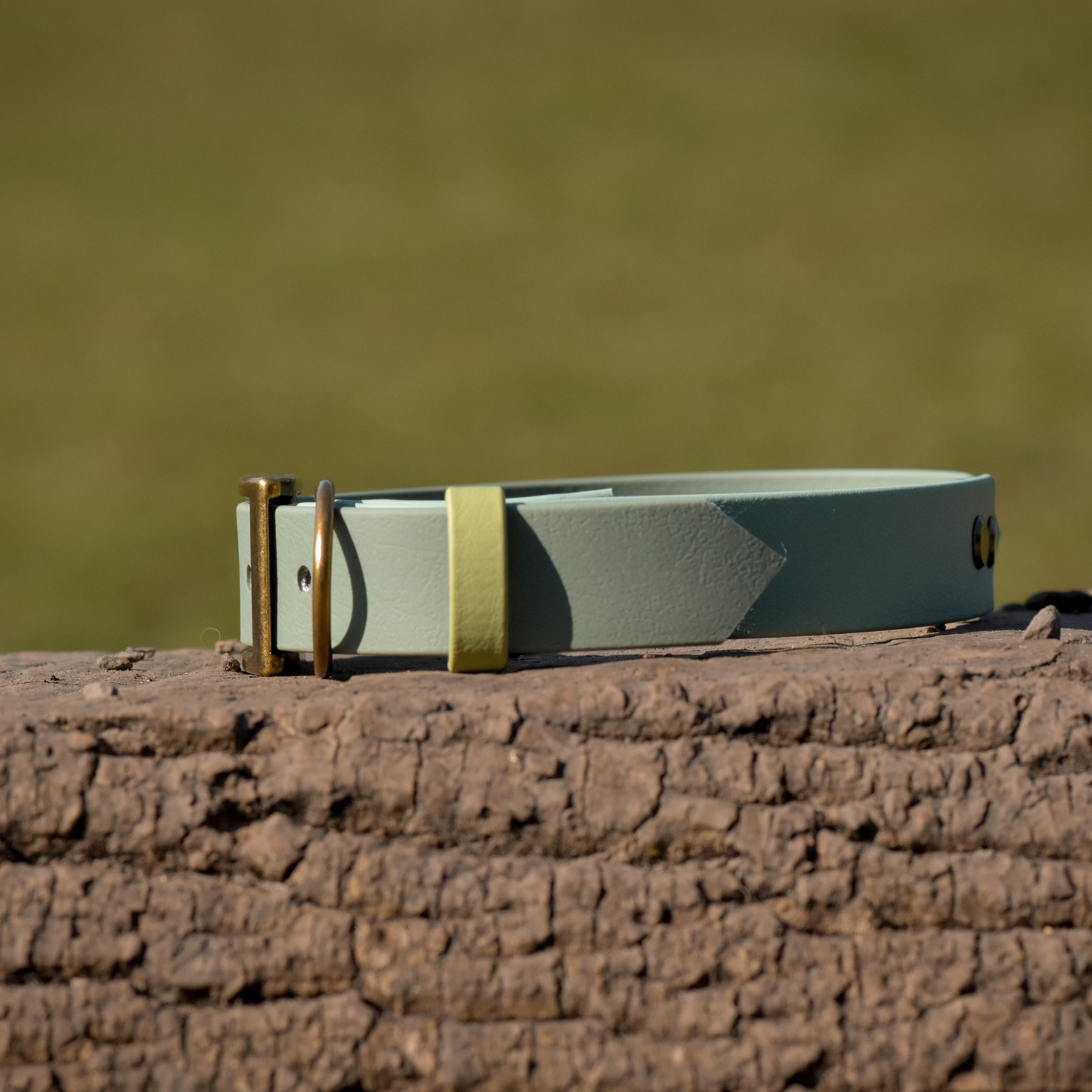 Ready to Ship: Summer Two Tone Collars