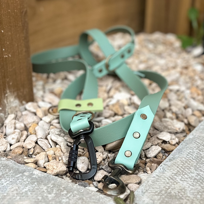 Ready to ship: Summer Multiway Training Leads