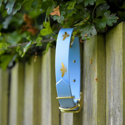 Signature ‘The Liv Like Busby Collar’