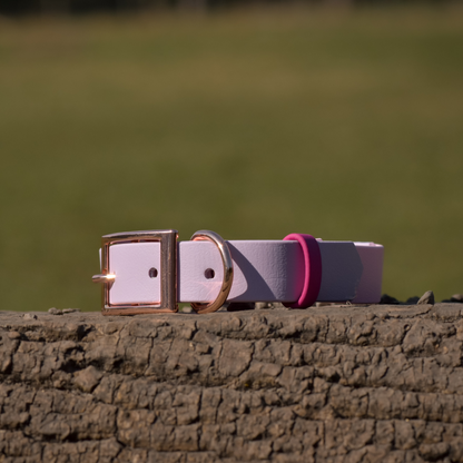 Ready to Ship: Two Tone Collars