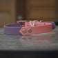13-17" Dog Collars