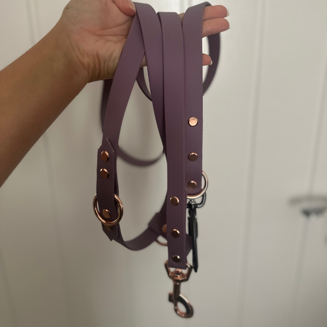 Core Collection Multiway Leads