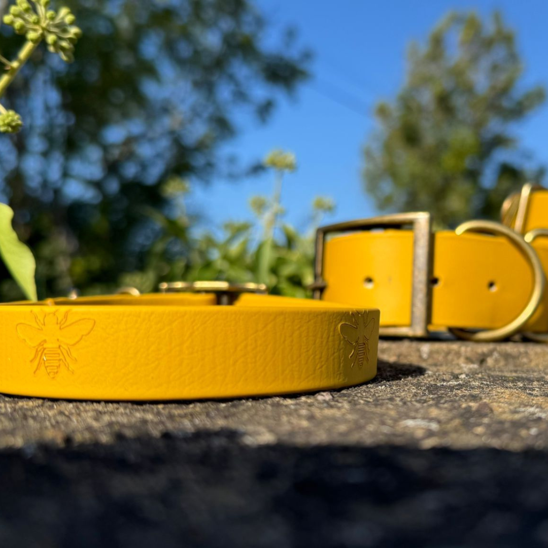 Mustard Embossed Bee Collar