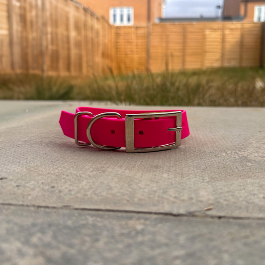 Ready to Ship: Classic Passion Pink Collar