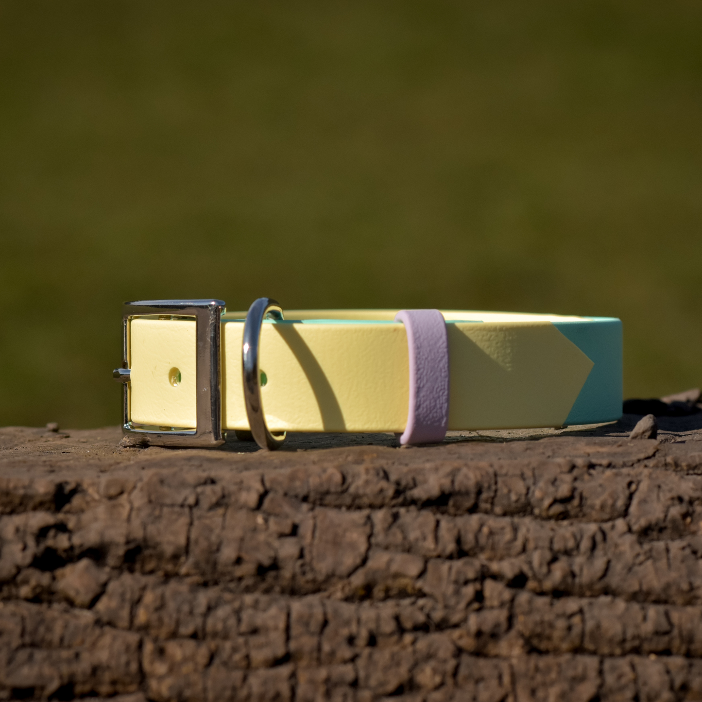 Ready to Ship: Summer Two Tone Collars