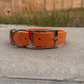 Core Collection Classic Collars