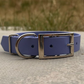 10-14" Dog Collars