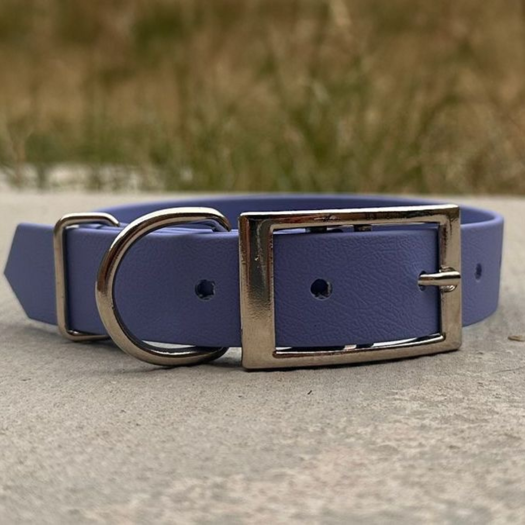 10-14" Dog Collars