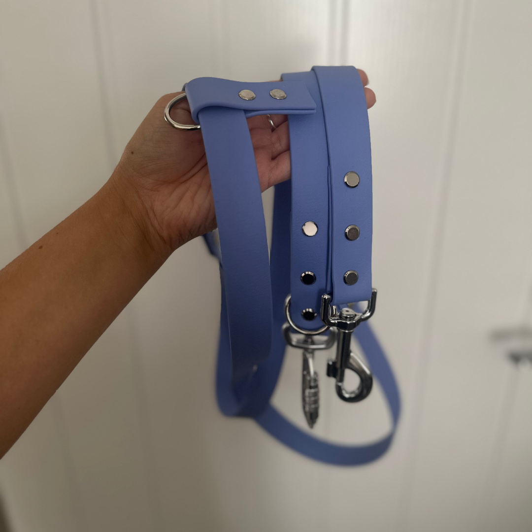 Core Collection Multiway Leads
