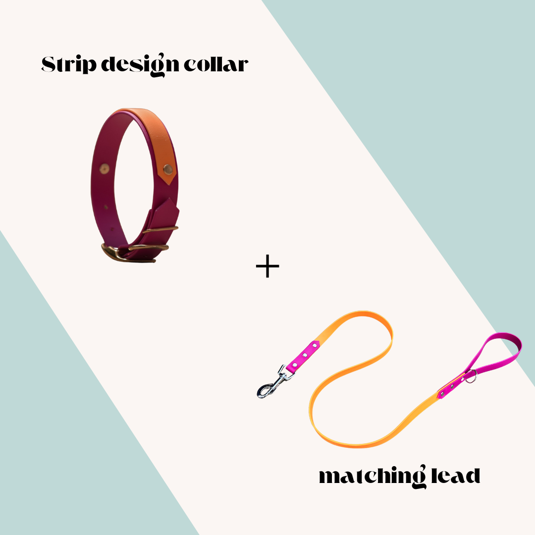 Strip Design Collar and Lead Set