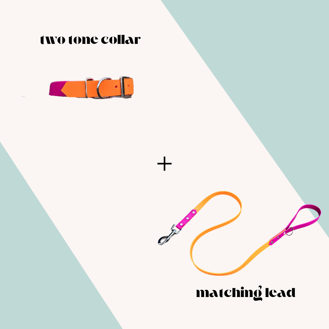 Two Tone Collar and Lead Set