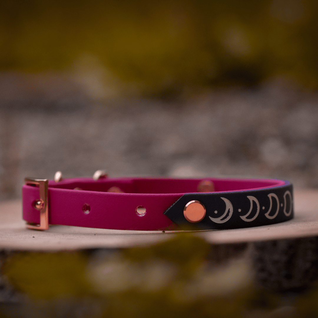 Pink and purple moon phase dog collar