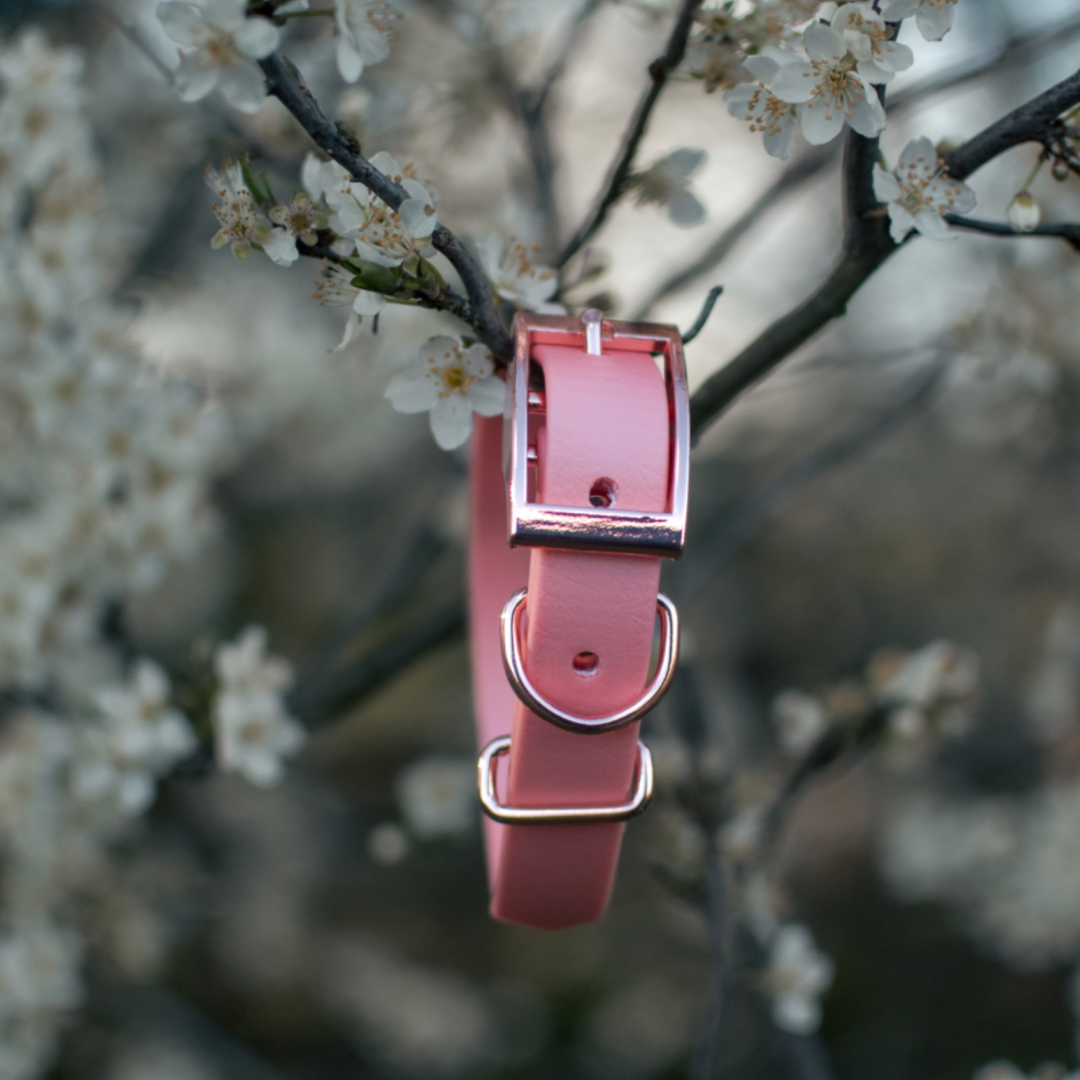 Pink Dog Collars