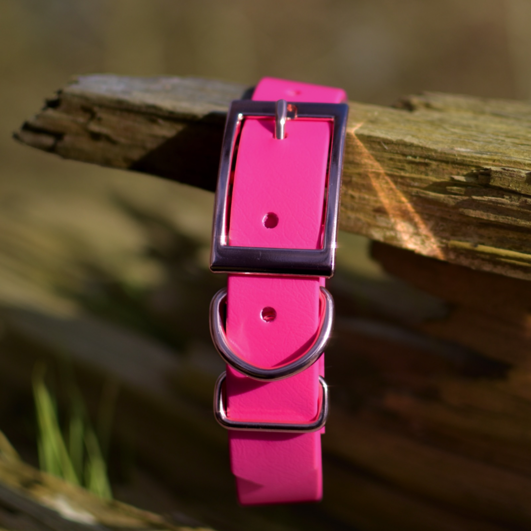 Pink Dog Collars