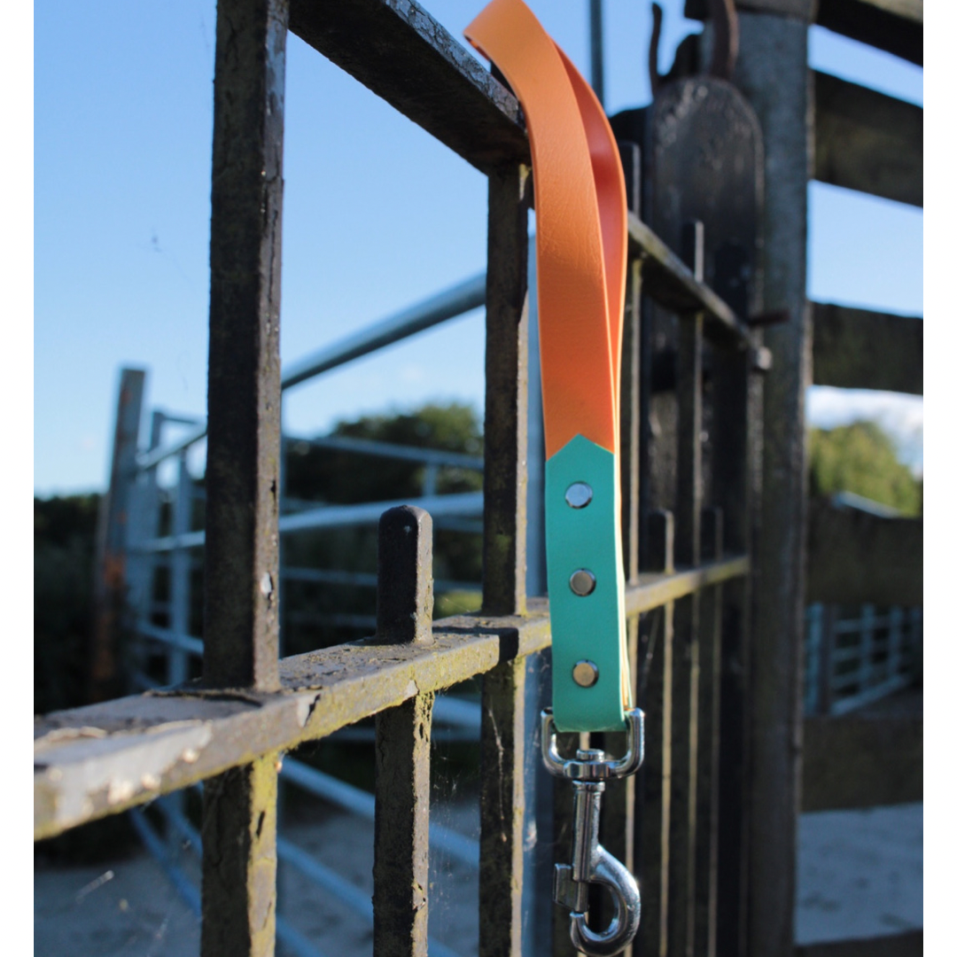 Dog leash 2024 with extra handle