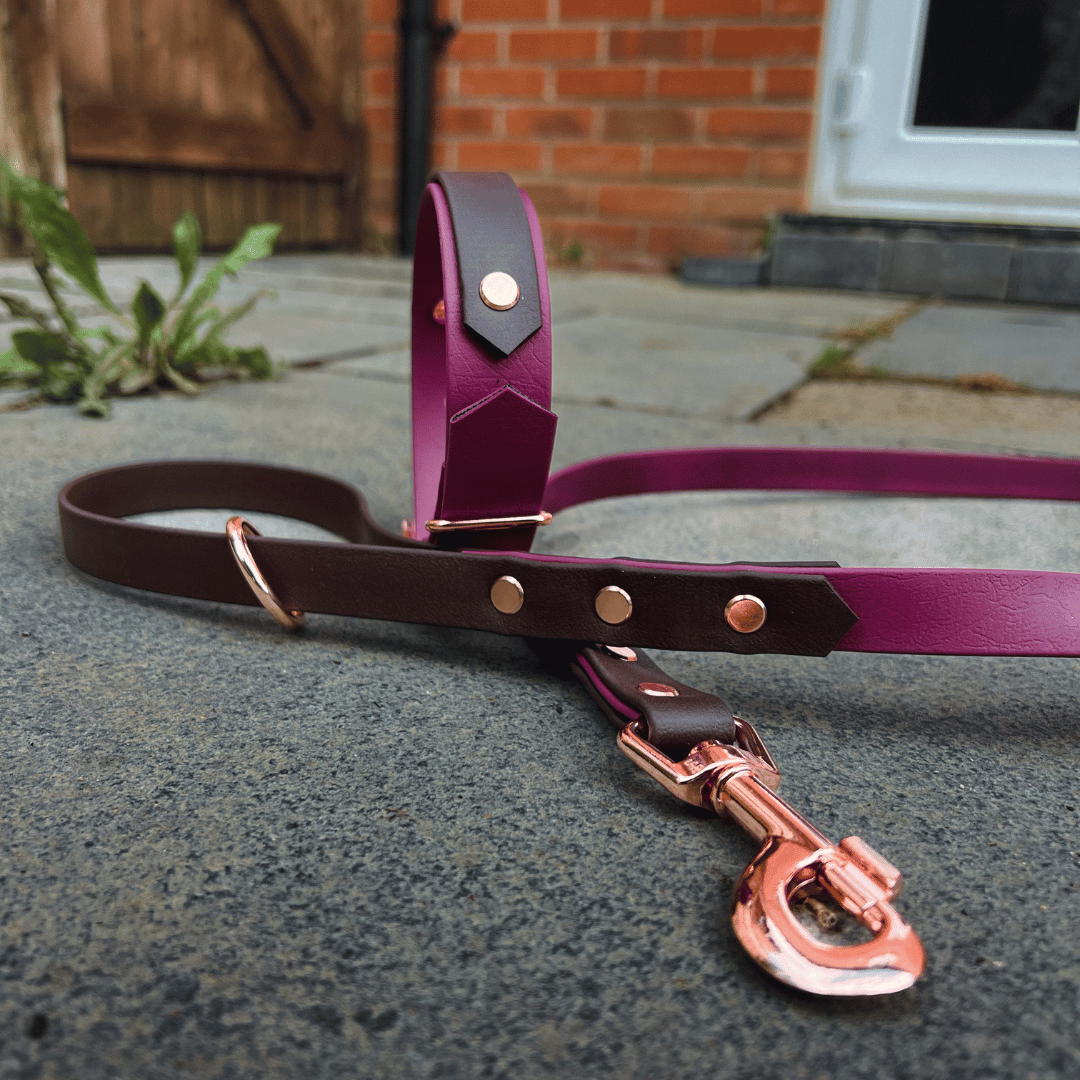 Strip Design Collar and Lead Set