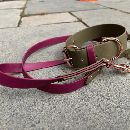 Biothane Collar & Training Lead Set