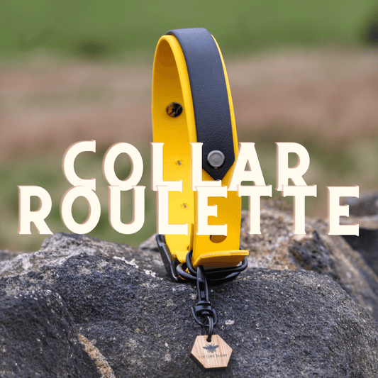 Collar roulette | Mystery Biothane Collar