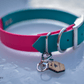 Mystery Biothane Collar