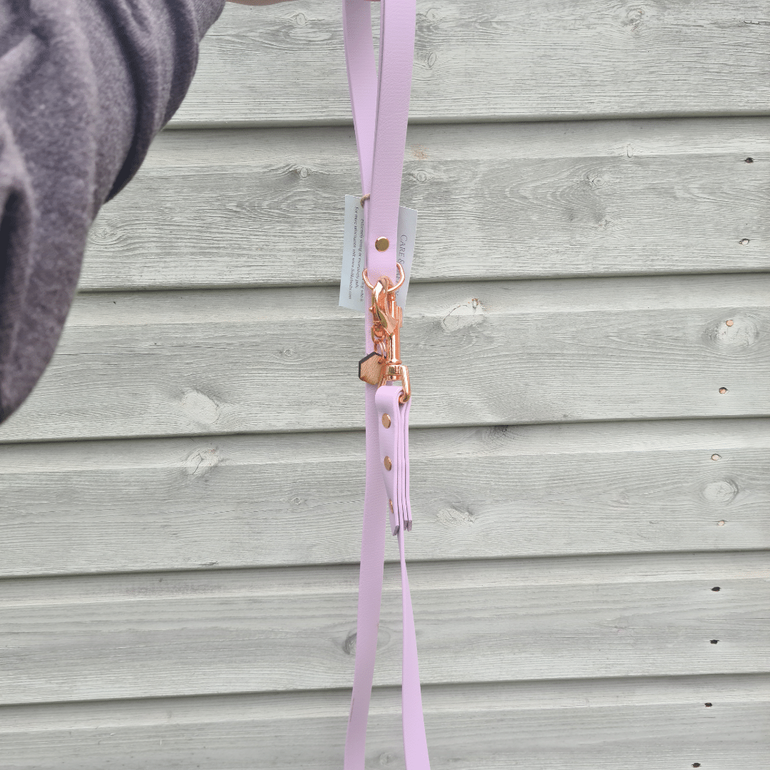 Pastel Biothane Dog Leads