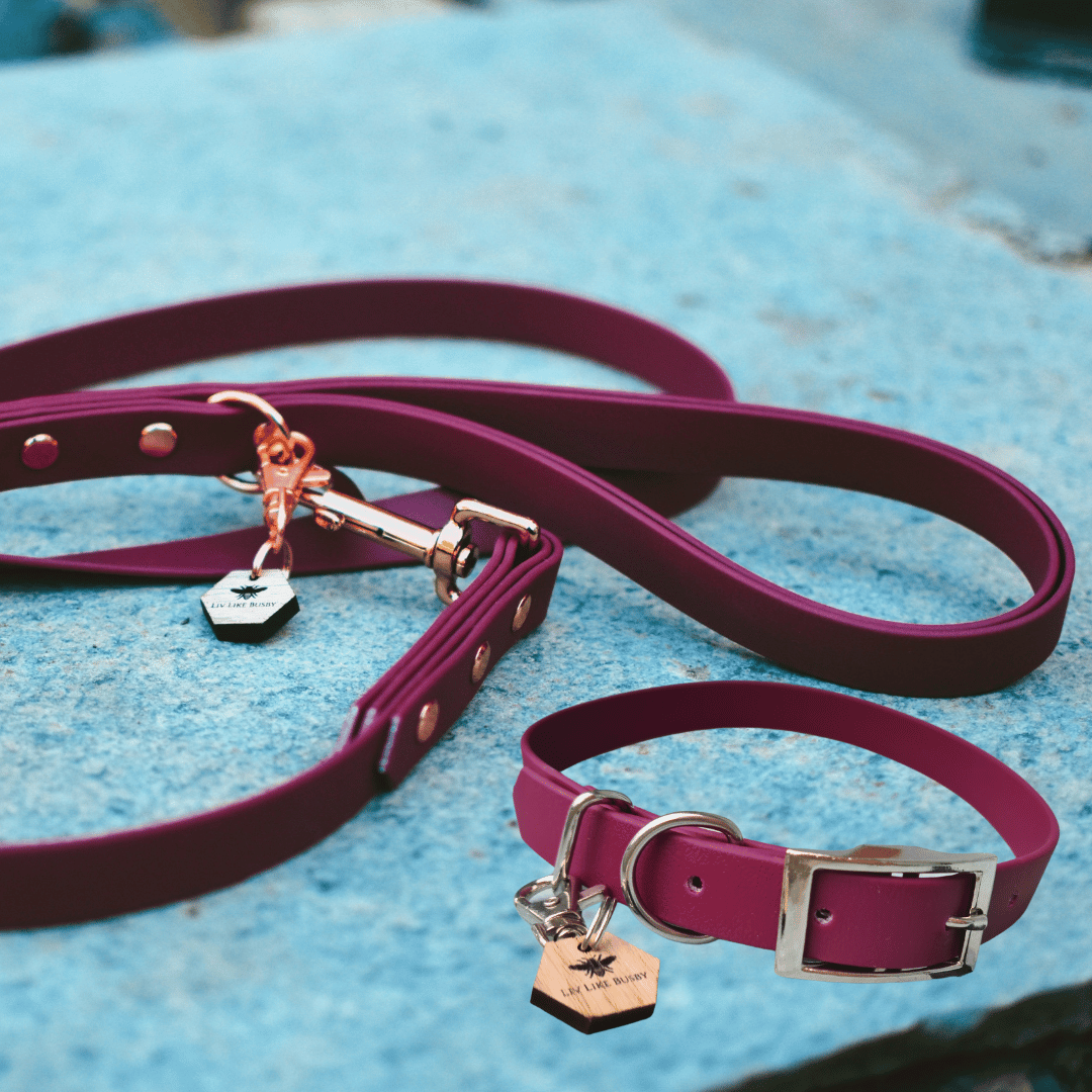 Dog collar and lead set in a dark wine colour 