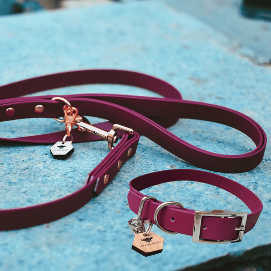 Dog collar and lead set in a dark wine colour 