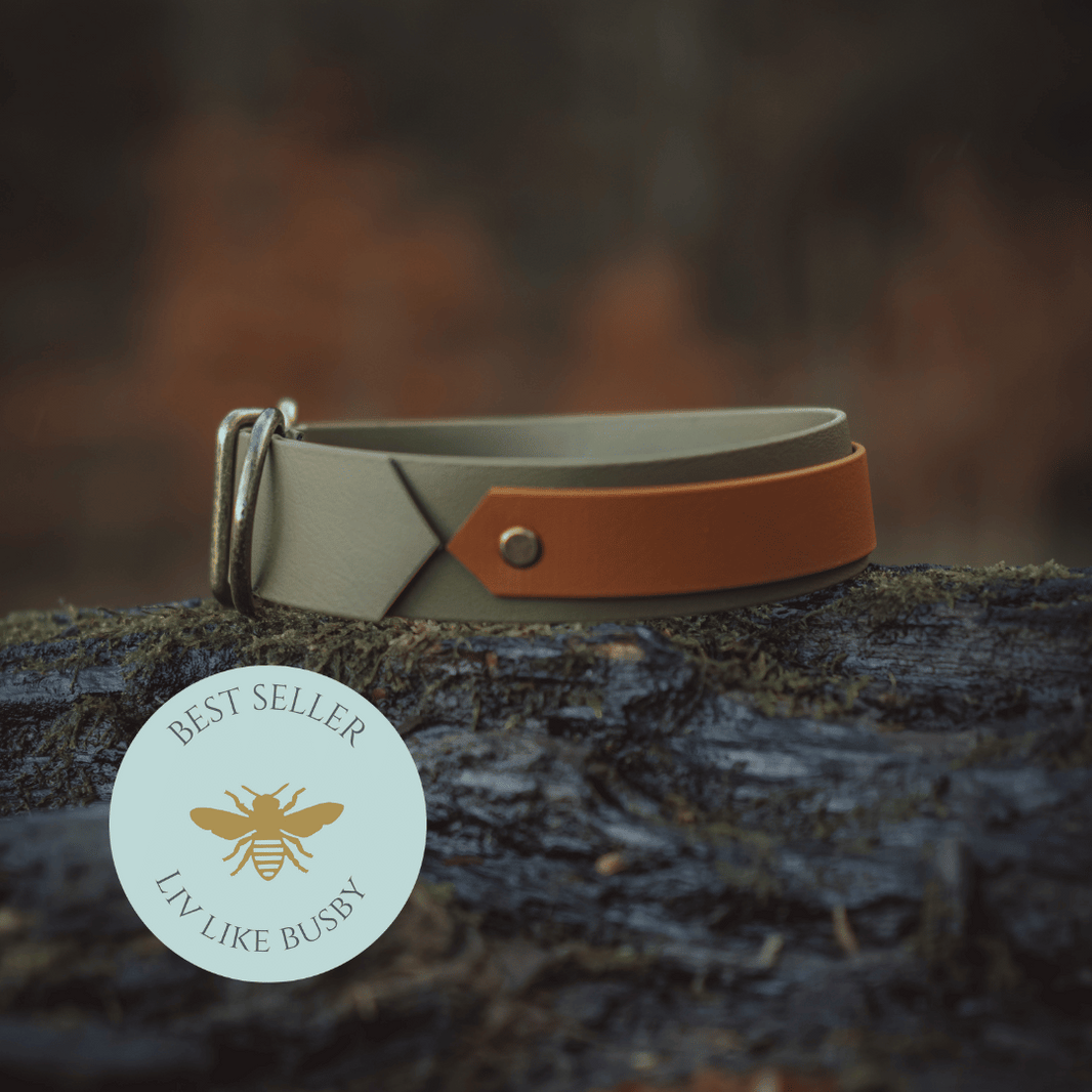 Best selling dog collars shop best selling biothane dog collars Liv