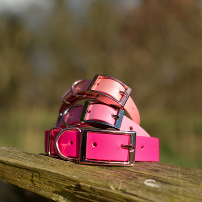 pink dog collar stack 