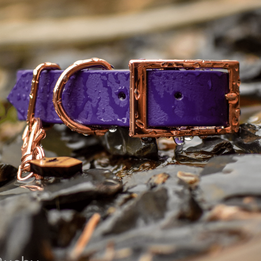 purple waterproof dog collar