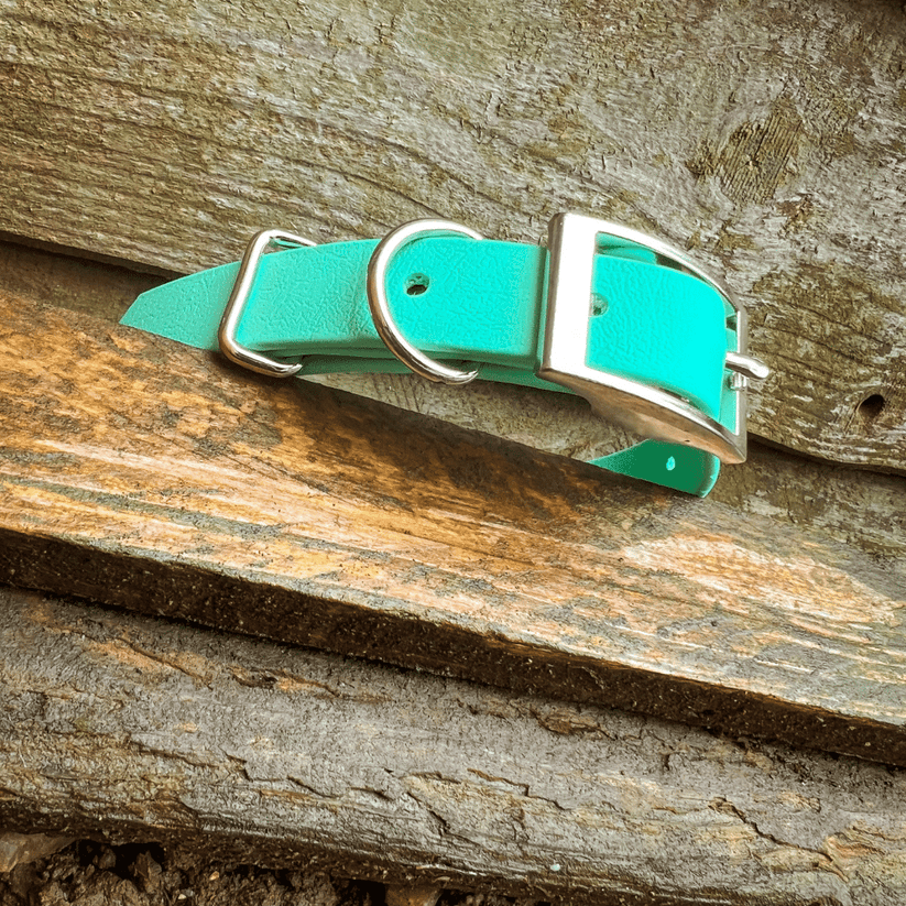Seafoam Biothane Collar Mint Green Dog Collar Liv Like Busby