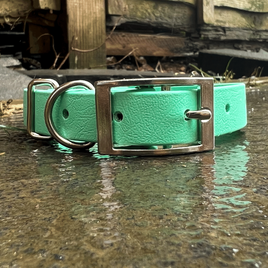 Seafoam Biothane Collar