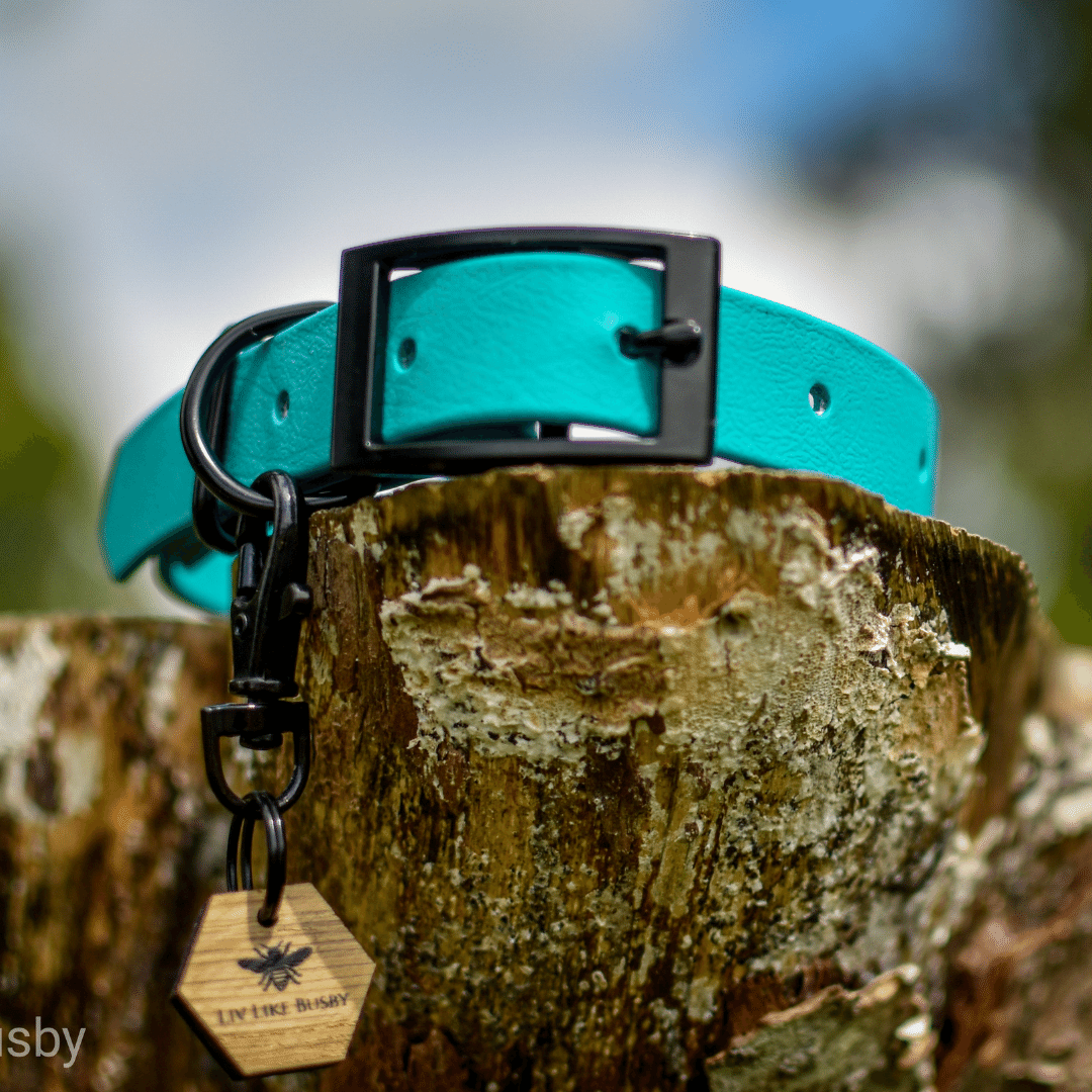 Teal Biothane Dog Collar