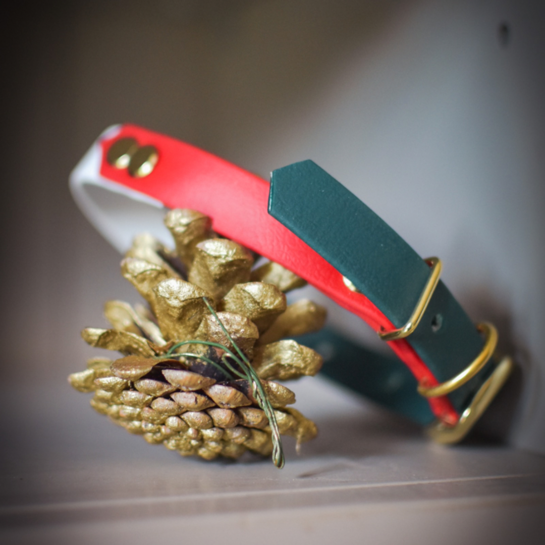 Christmas themed dog collar sitting on a gold pine cone 