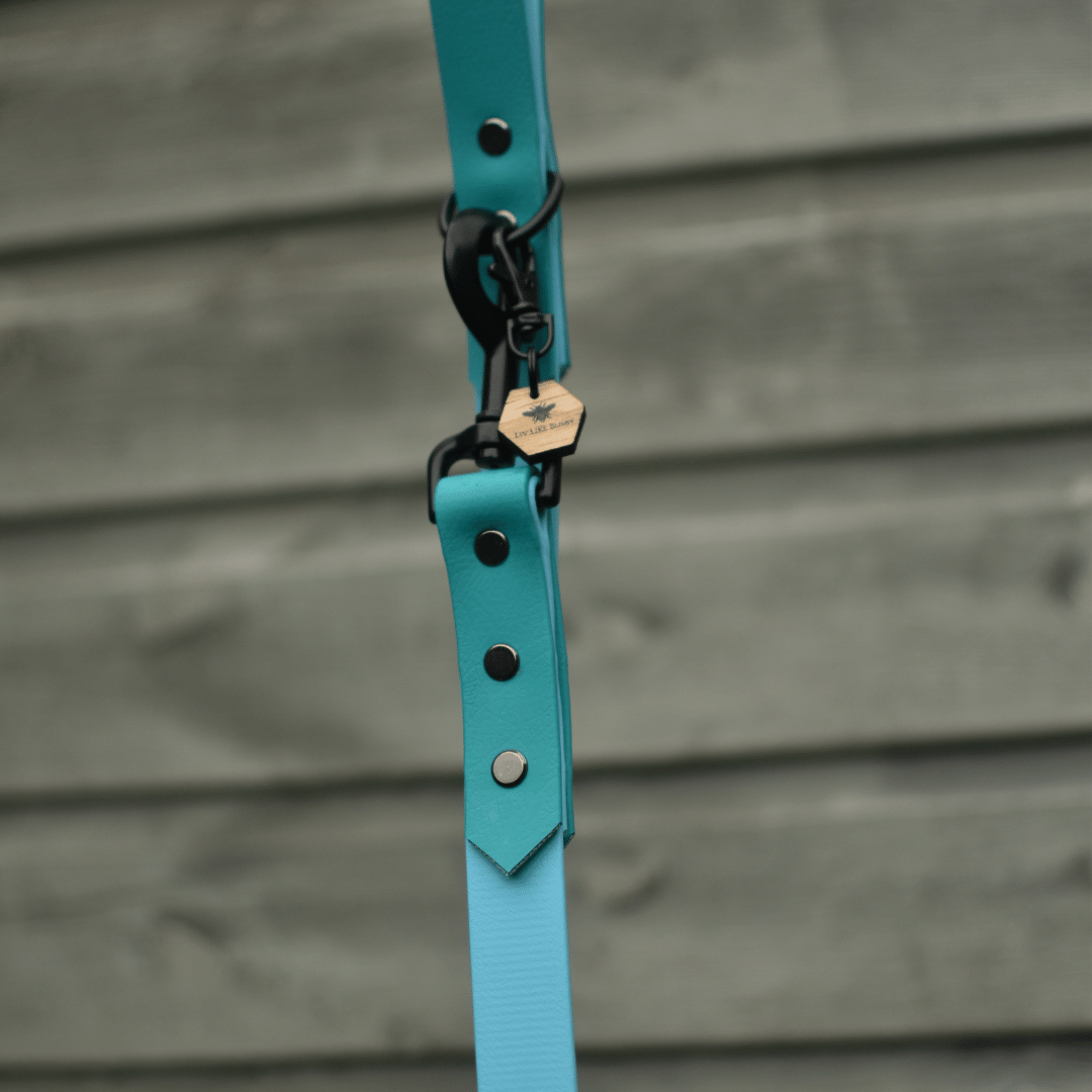 Custom Biothane Dog Leads