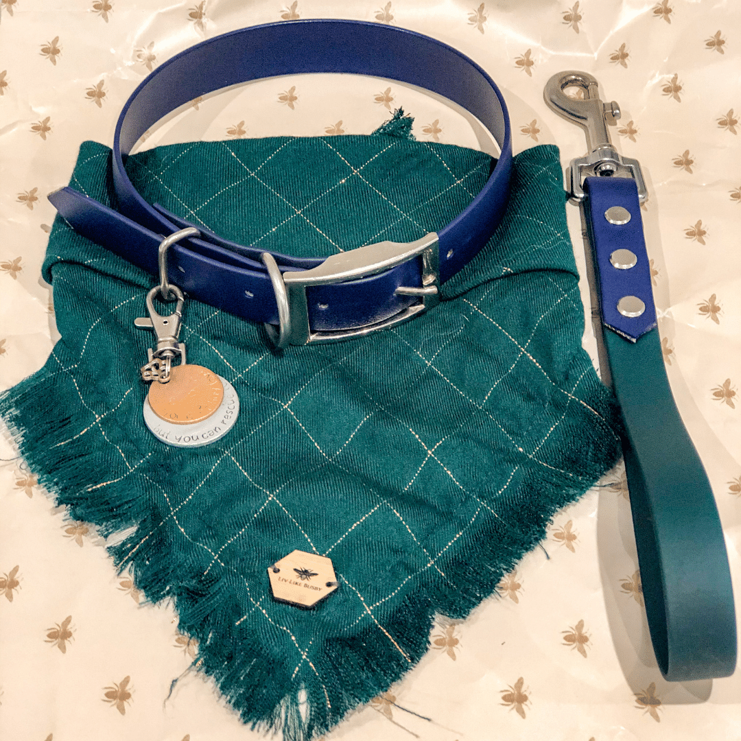 Traffic lead dog leash 2025