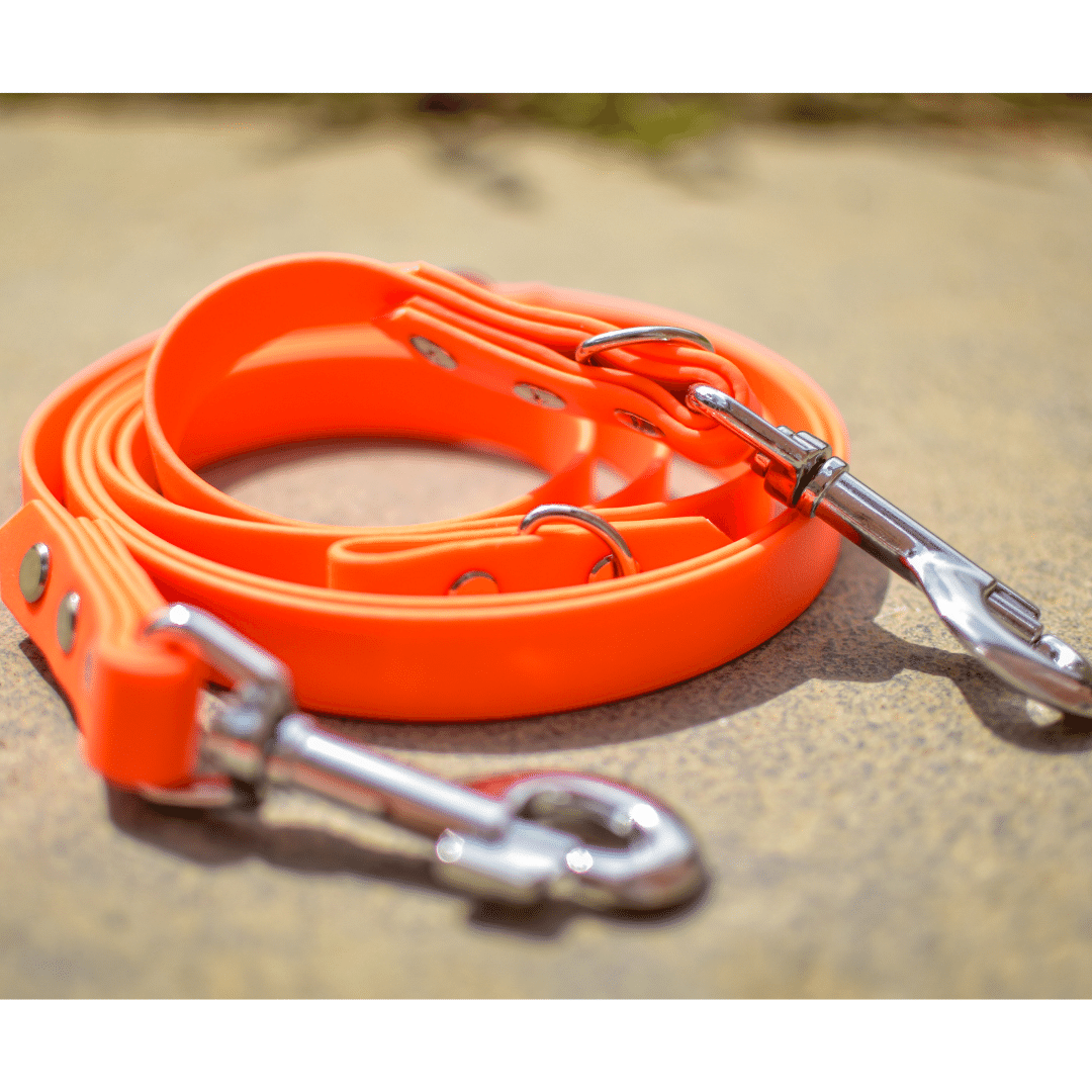 Biothane training lead best sale