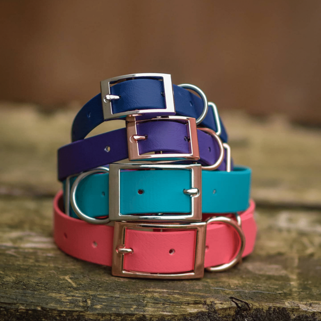 Waterproof dog collars