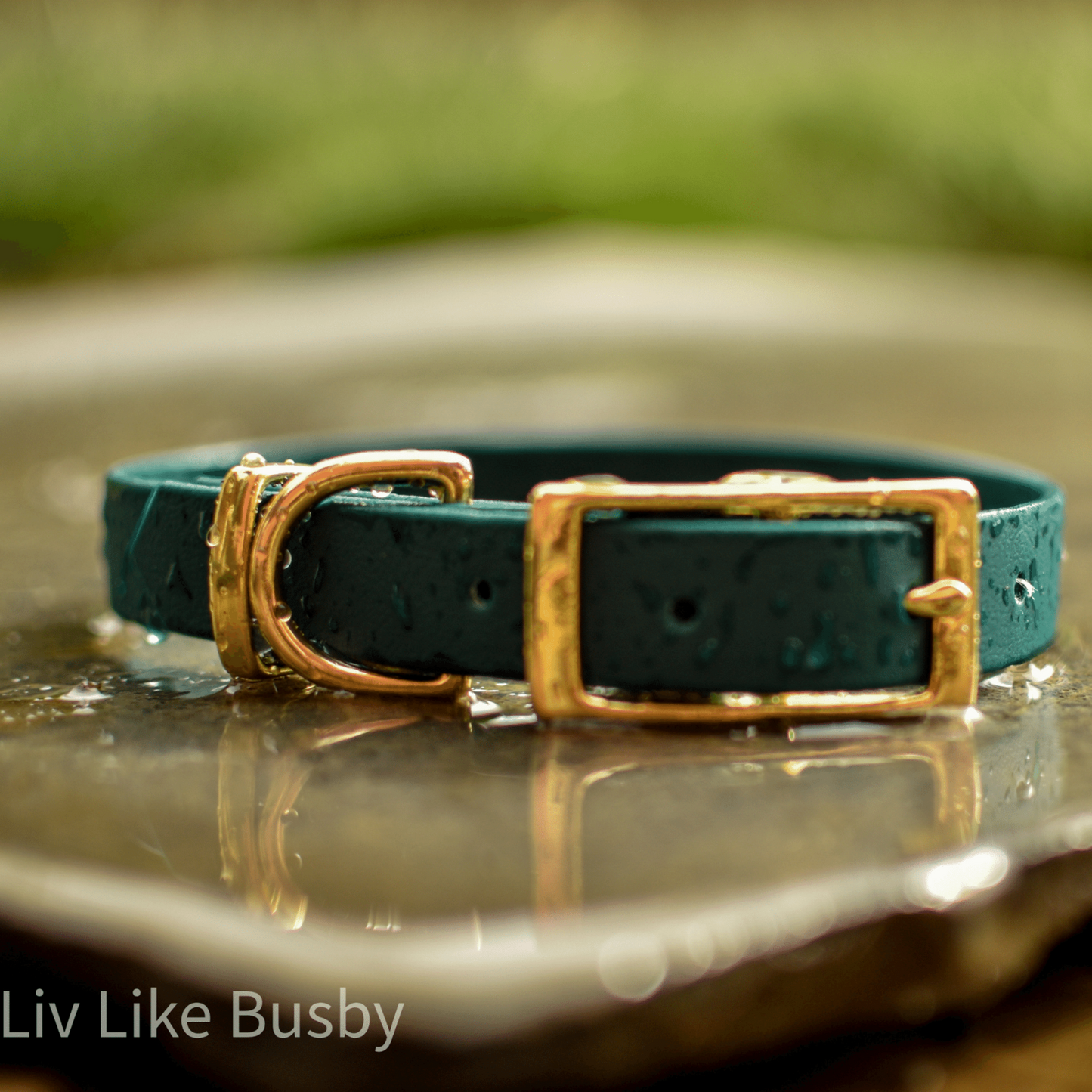 Classic Miniature Dog Collars