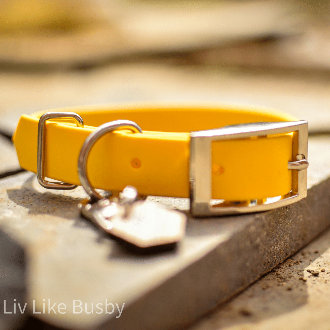 Yellow Biothane Dog Collar