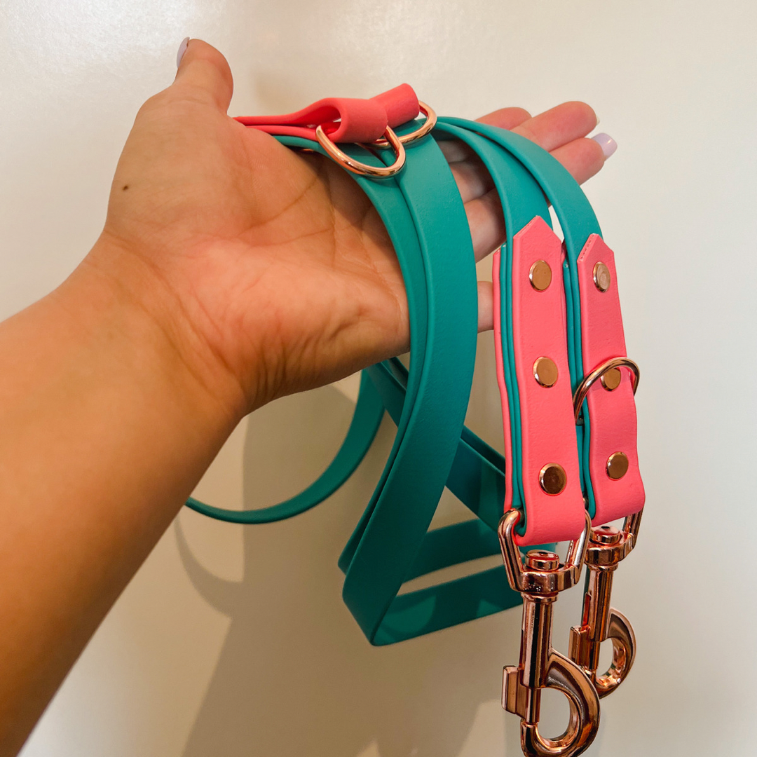 Pink and Blue Double Clip Dog Lead