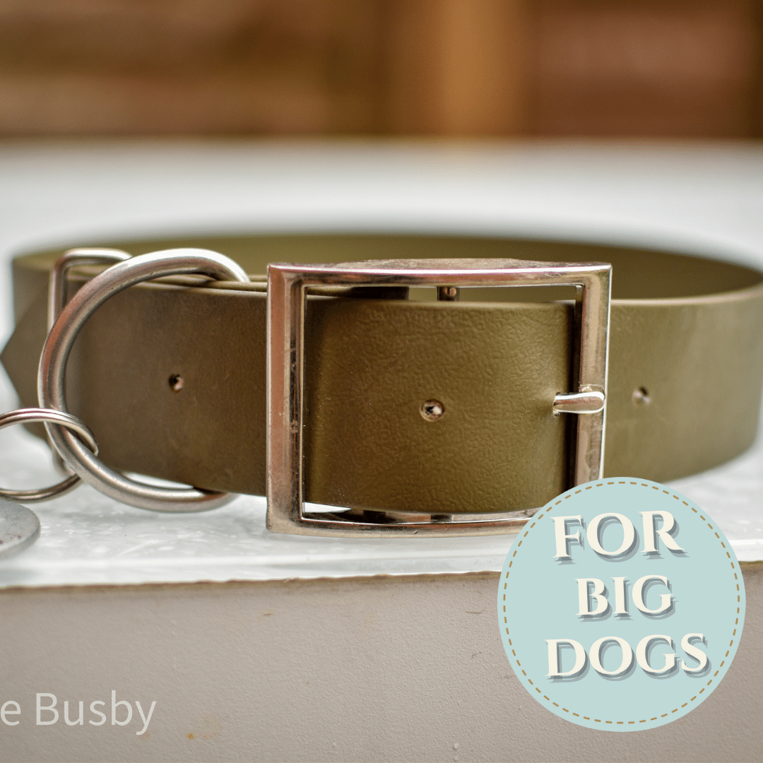 Big & Beautiful Collars | Collars for Big Dog Breeds