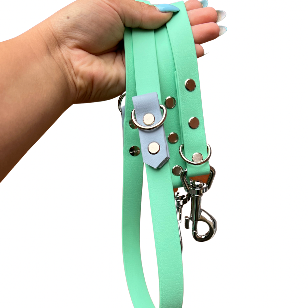 Mystery Biothane Dog Leads